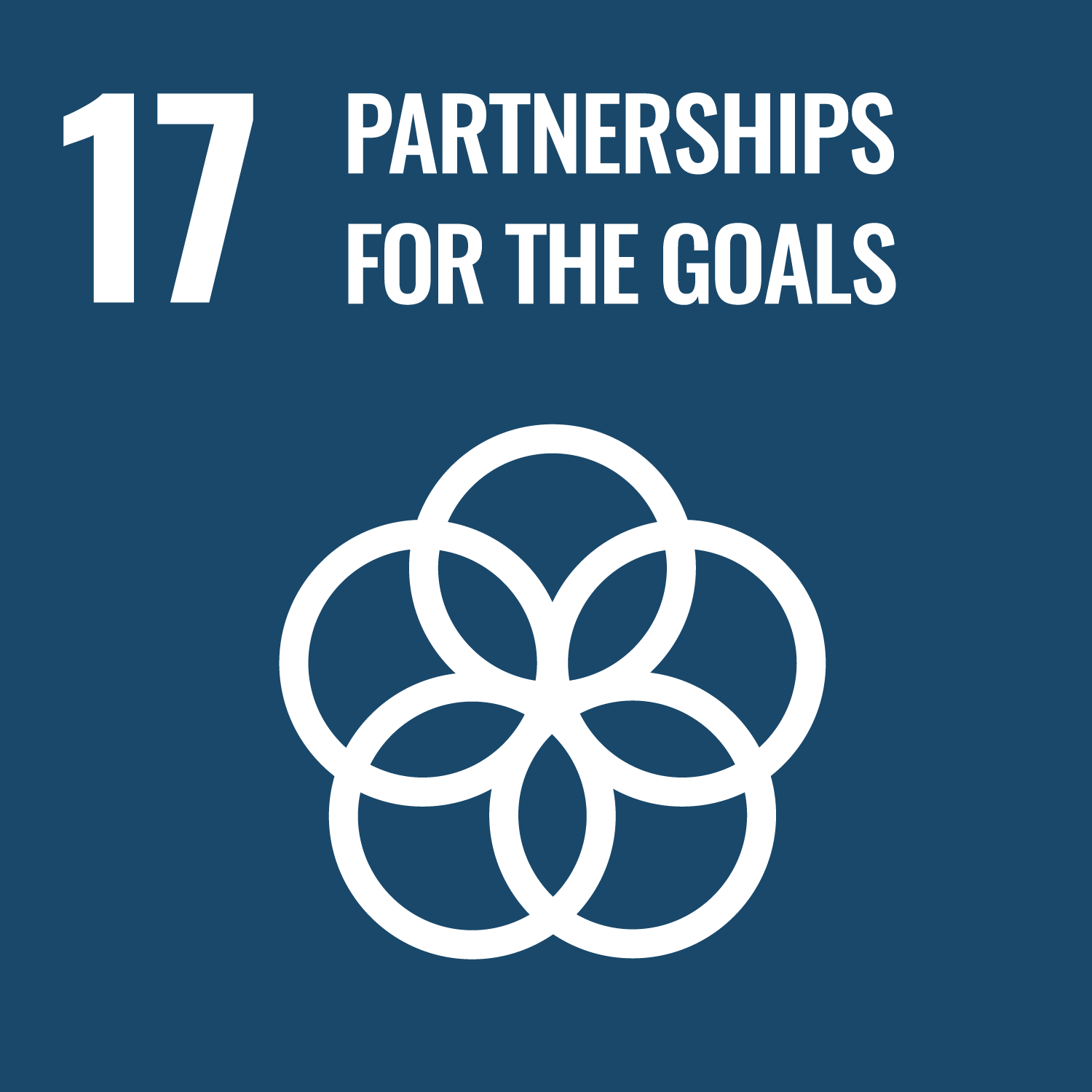 SDG 17 — Kemitraan untuk Mencapai Tujuan